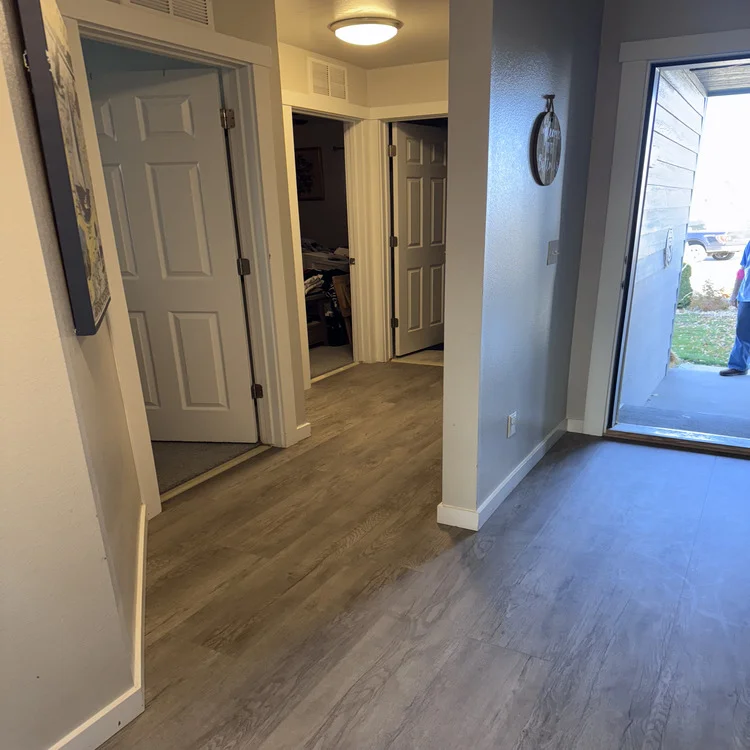 Laminate wood-look flooring in a bright entryway leading to the front door